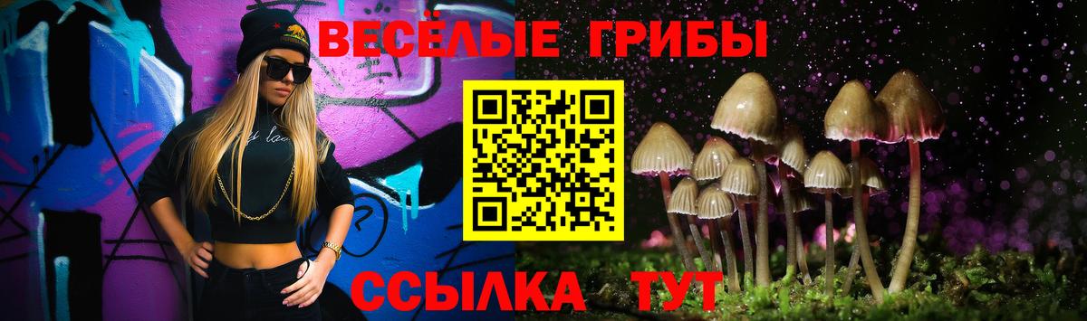 Псилоцибиновые грибы Magic Shrooms  Вход с VPN  где найти наркотики  Магадан  Галлюциногенные грибы Psilocybe 