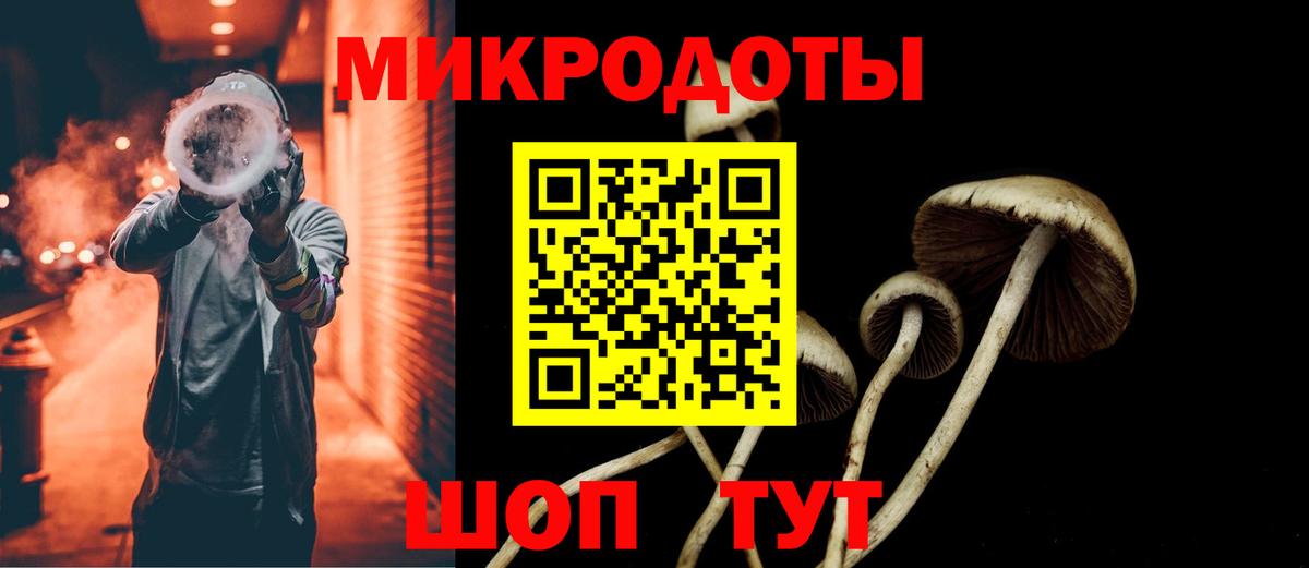 Галлюциногенные грибы прущие грибы Магадан